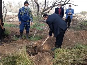 کاشت یکهزار و 250 اصله نهال در شرکت بهره برداری از شبکه های آبیاری شمال خوزستان