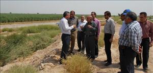 بازدید مدیران ارشد شرکت آبیاری شمال خوزستان از شرکت کشت و صنعت هفت تپه