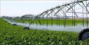 خوزستان رتبه نخست تولیدات کشاورزی است/ لزوم حمایت از سرمایه‌گذاران صنایع تکمیلی