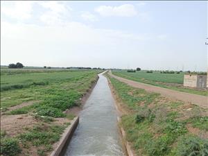 انعقاد قرارداد آب بیش از 47 هزار هکتار انواع محصولات زمستانه و بهاره در شمال خوزستان