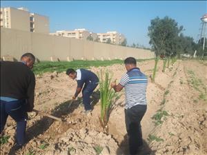 کاشت ۸۰۰ اصله نهال مرکبات در شرکت بهره برداری از شبکه های آبیاری شمال خوزستان بمناسبت روز درختکاری
