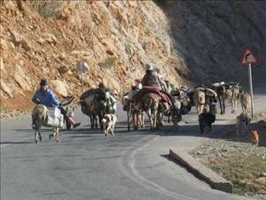 كوچ عشاير خوزستان به مناطق ييلاقي آغاز شد 