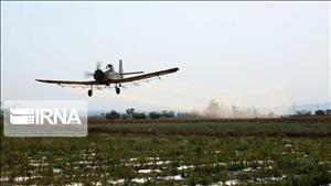 مزارع شوش برای مبارزه با ملخ سمپاشی هوایی می‌شوند