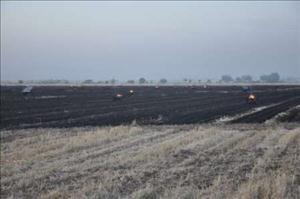 آتش سوزی در مزارع کشاورزی دزفول مهار شد